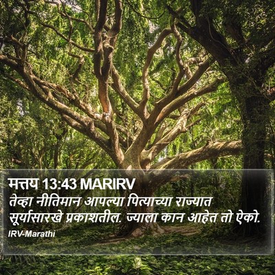 मत्तय 13:43 MARIRV Bible Verse Image