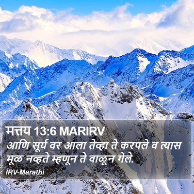 मत्तय 13:6 MARIRV Bible Verse Image