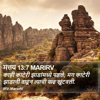 मत्तय 13:7 MARIRV Bible Verse Image