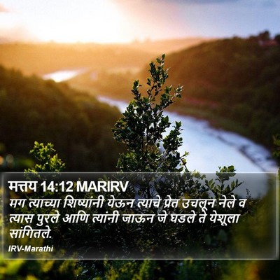 मत्तय 14:12 MARIRV Bible Verse Image