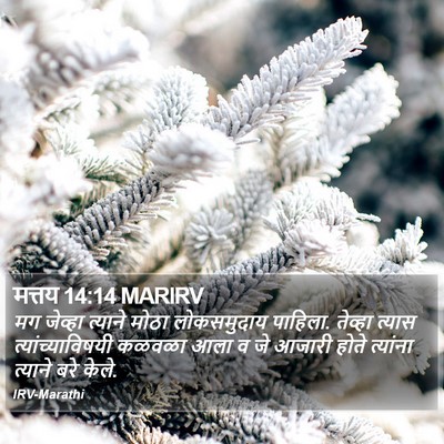 मत्तय 14:14 MARIRV Bible Verse Image