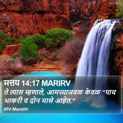 मत्तय 14:17 MARIRV Bible Verse Image