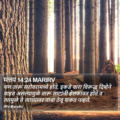 मत्तय 14:24 MARIRV Bible Verse Image