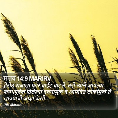 मत्तय 14:9 MARIRV Bible Verse Image
