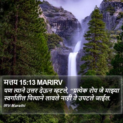 मत्तय 15:13 MARIRV Bible Verse Image