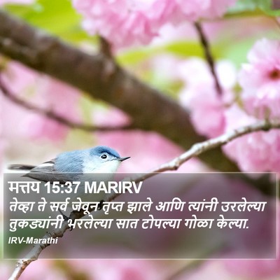 मत्तय 15:37 MARIRV Bible Verse Image