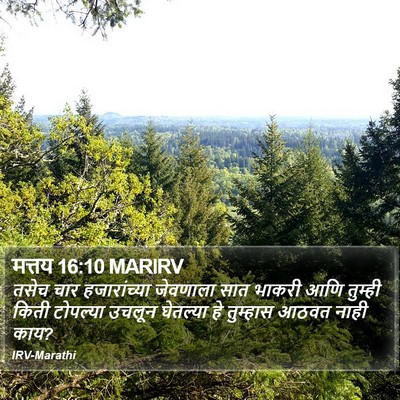 मत्तय 16:10 MARIRV Bible Verse Image