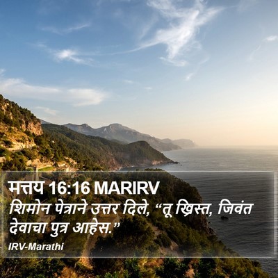 मत्तय 16:16 MARIRV Bible Verse Image