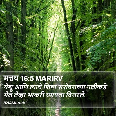 मत्तय 16:5 MARIRV Bible Verse Image