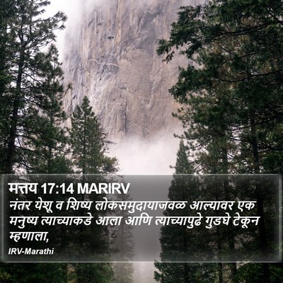 मत्तय 17:14 MARIRV Bible Verse Image