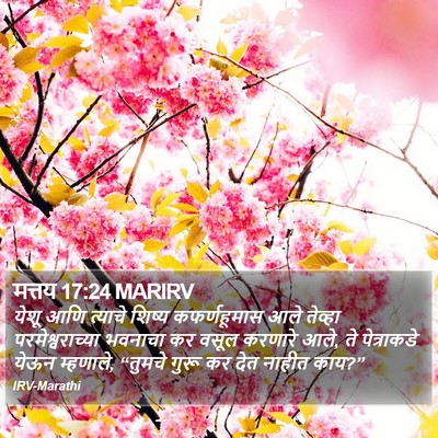 मत्तय 17:24 MARIRV Bible Verse Image