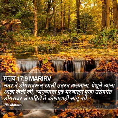 मत्तय 17:9 MARIRV Bible Verse Image