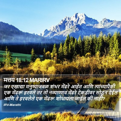 मत्तय 18:12 MARIRV Bible Verse Image