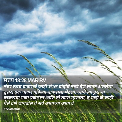 मत्तय 18:28 MARIRV Bible Verse Image