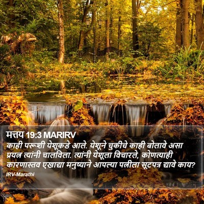 मत्तय 19:3 MARIRV Bible Verse Image