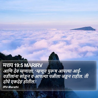 मत्तय 19:5 MARIRV Bible Verse Image