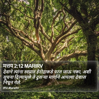 मत्तय 2:12 MARIRV Bible Verse Image