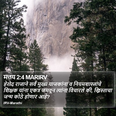 मत्तय 2:4 MARIRV Bible Verse Image
