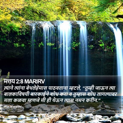 मत्तय 2:8 MARIRV Bible Verse Image