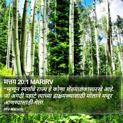 मत्तय 20:1 MARIRV Bible Verse Image