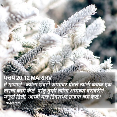 मत्तय 20:12 MARIRV Bible Verse Image