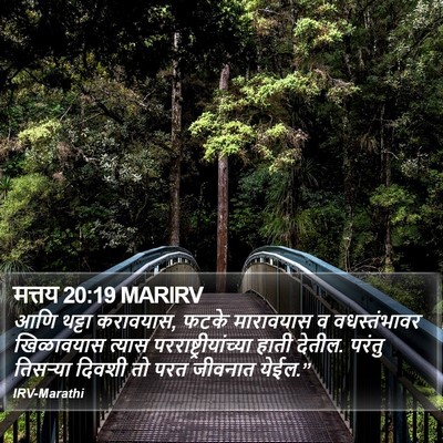 मत्तय 20:19 MARIRV Bible Verse Image