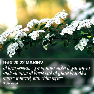 मत्तय 20:22 MARIRV Bible Verse Image