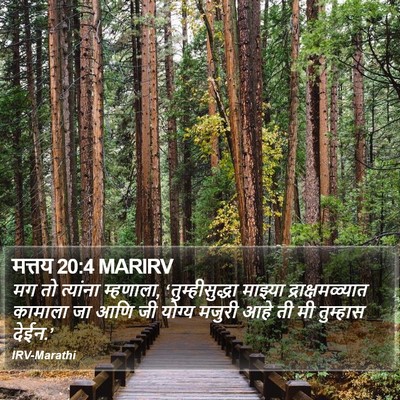मत्तय 20:4 MARIRV Bible Verse Image