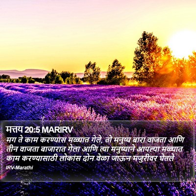 मत्तय 20:5 MARIRV Bible Verse Image