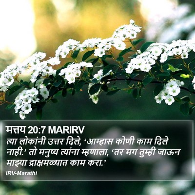 मत्तय 20:7 MARIRV Bible Verse Image