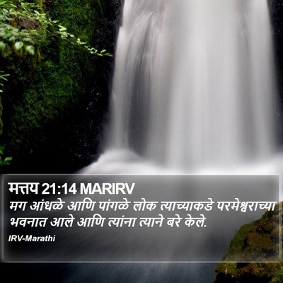 मत्तय 21:14 MARIRV Bible Verse Image