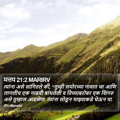 मत्तय 21:2 MARIRV Bible Verse Image