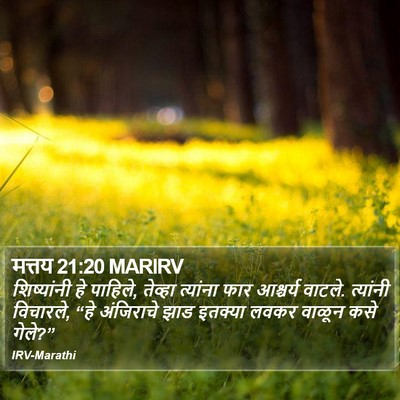 मत्तय 21:20 MARIRV Bible Verse Image