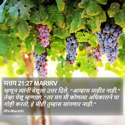 मत्तय 21:27 MARIRV Bible Verse Image