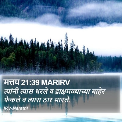 मत्तय 21:39 MARIRV Bible Verse Image