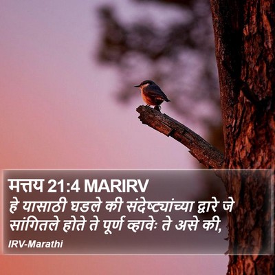 मत्तय 21:4 MARIRV Bible Verse Image