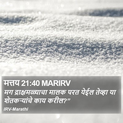 मत्तय 21:40 MARIRV Bible Verse Image