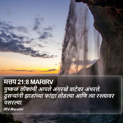 मत्तय 21:8 MARIRV Bible Verse Image