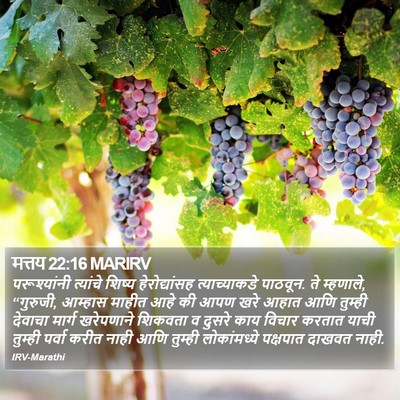 मत्तय 22:16 MARIRV Bible Verse Image