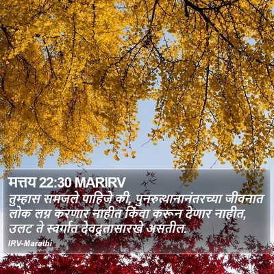 मत्तय 22:30 MARIRV Bible Verse Image