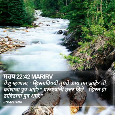 मत्तय 22:42 MARIRV Bible Verse Image