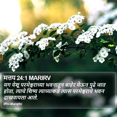 मत्तय 24:1 MARIRV Bible Verse Image