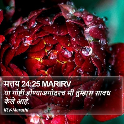 मत्तय 24:25 MARIRV Bible Verse Image