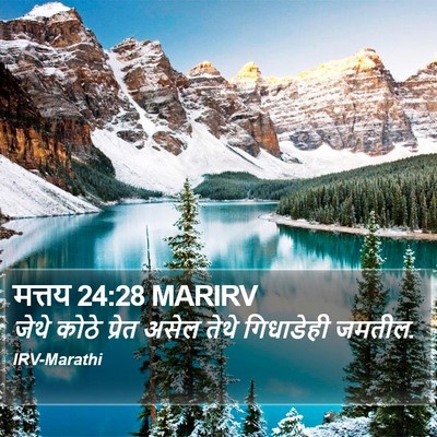 मत्तय 24:28 MARIRV Bible Verse Image