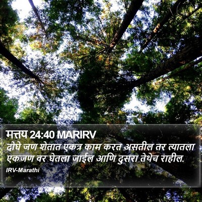 मत्तय 24:40 MARIRV Bible Verse Image