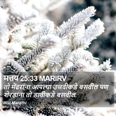मत्तय 25:33 MARIRV Bible Verse Image