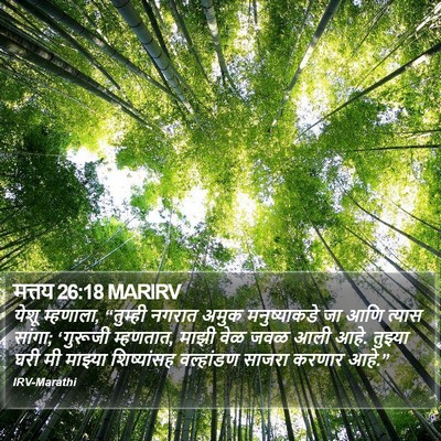 मत्तय 26:18 MARIRV Bible Verse Image