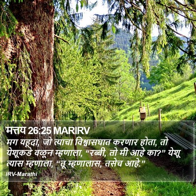 मत्तय 26:25 MARIRV Bible Verse Image