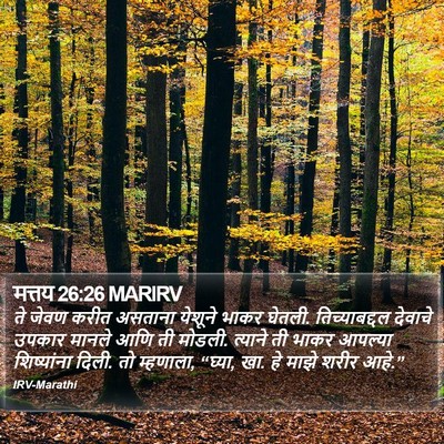मत्तय 26:26 MARIRV Bible Verse Image