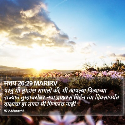 मत्तय 26:29 MARIRV Bible Verse Image